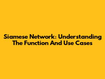 Siamese Network: Understanding The Function And Use Cases