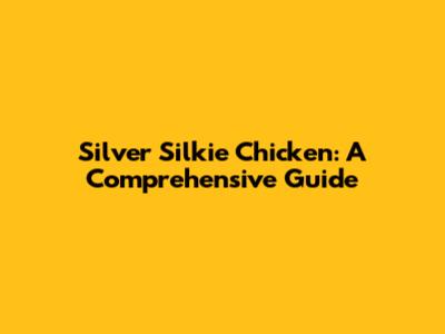 Silver Silkie Chicken: A Comprehensive Guide