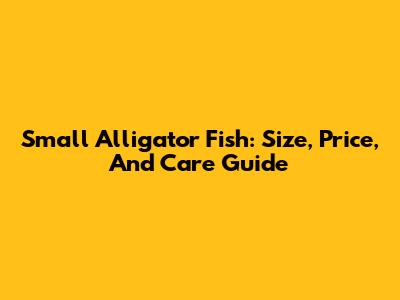 Small Alligator Fish: Size, Price, And Care Guide
