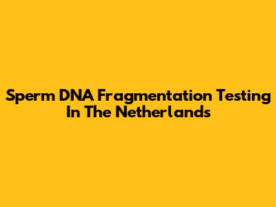 Sperm DNA Fragmentation Testing In The Netherlands