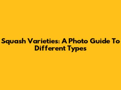Squash Varieties: A Photo Guide To Different Types