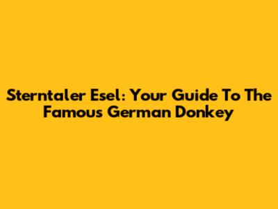 Sterntaler Esel: Your Guide To The Famous German Donkey