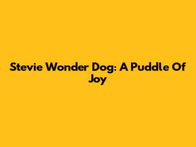Stevie Wonder Dog: A Puddle Of Joy