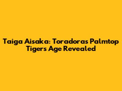 Taiga Aisaka: Toradora's Palmtop Tiger's Age Revealed