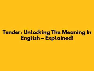 Tender: Unlocking The Meaning In English – Explained!