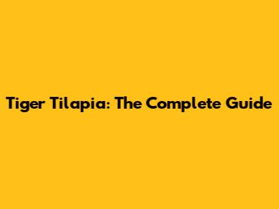 Tiger Tilapia: The Complete Guide