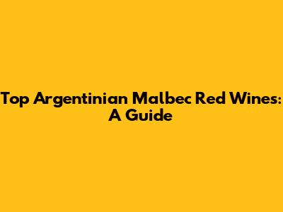 Top Argentinian Malbec Red Wines: A Guide