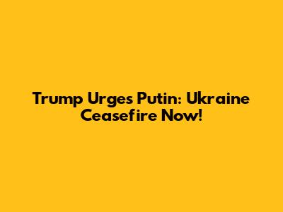 Trump Urges Putin: Ukraine Ceasefire Now!