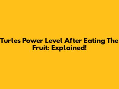Turles' Power Level After Eating The Fruit: Explained!