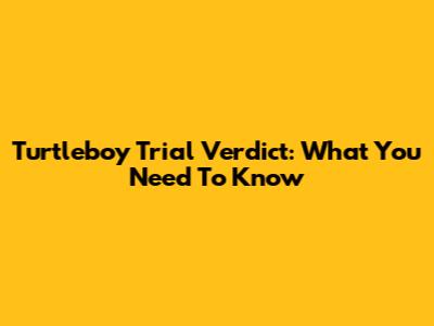 Turtleboy Trial Verdict: What You Need To Know
