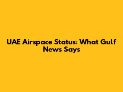 UAE Airspace Status: What Gulf News Says