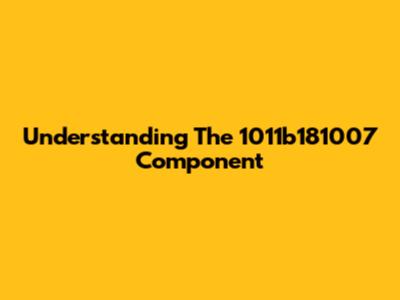 Understanding The 1011b181007 Component