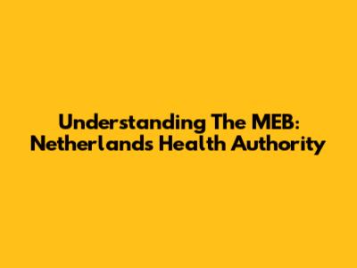 Understanding The MEB: Netherlands' Health Authority