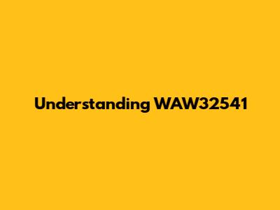 Understanding WAW32541