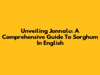 Unveiling Jonnalu: A Comprehensive Guide To Sorghum In English