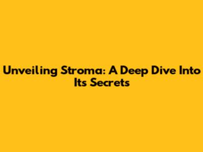 Unveiling Stroma: A Deep Dive Into Its Secrets
