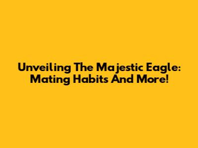 Unveiling The Majestic Eagle: Mating Habits And More!