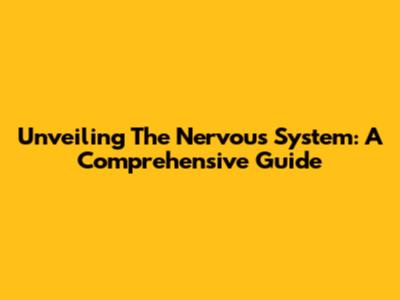 Unveiling The Nervous System: A Comprehensive Guide