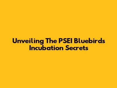 Unveiling The PSEI Bluebird's Incubation Secrets