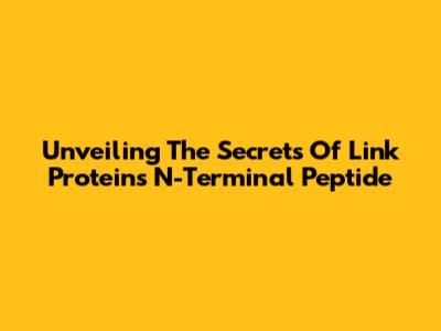 Unveiling The Secrets Of Link Protein's N-Terminal Peptide