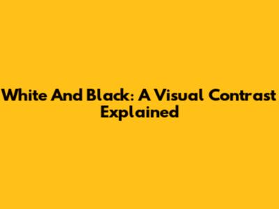 White And Black: A Visual Contrast Explained