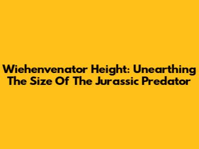 Wiehenvenator Height: Unearthing The Size Of The Jurassic Predator