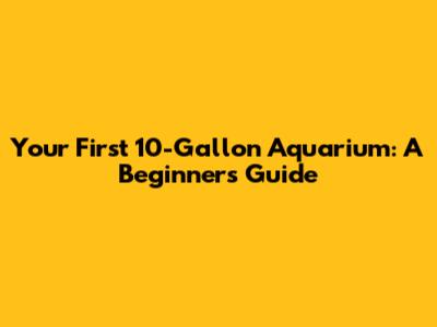 Your First 10-Gallon Aquarium: A Beginner's Guide