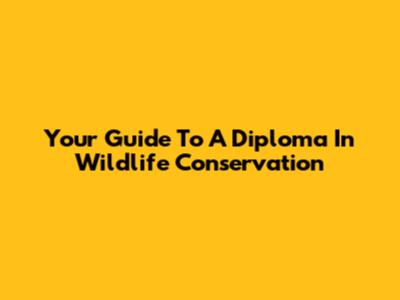 Your Guide To A Diploma In Wildlife Conservation